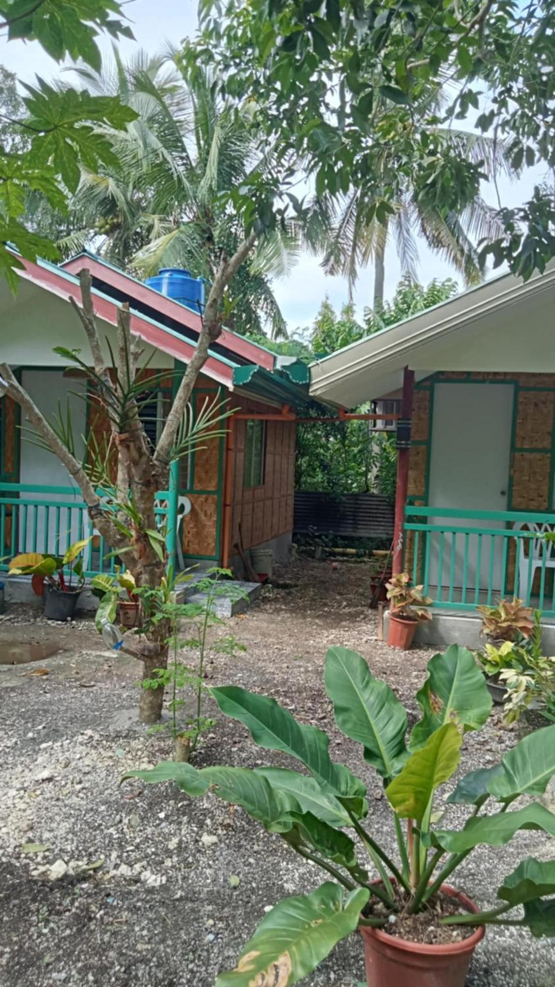 Bohol Triple M Tourist Inn تاغبيلاران سيتي المظهر الخارجي الصورة