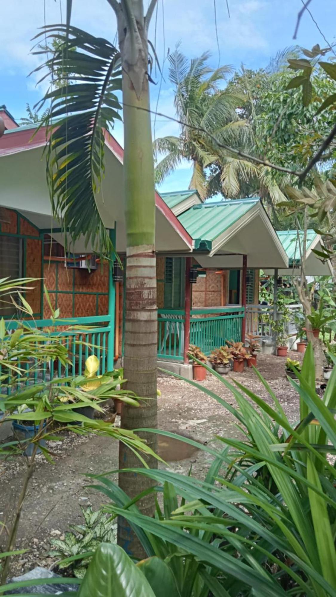 Bohol Triple M Tourist Inn تاغبيلاران سيتي المظهر الخارجي الصورة